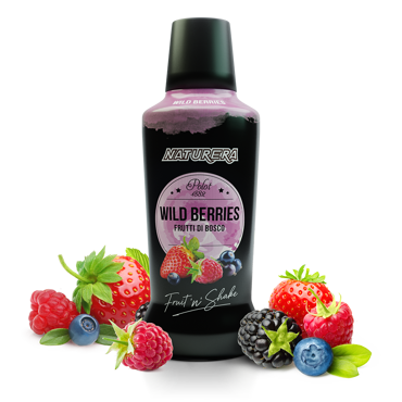Fruit N Shake Wild Berry Puree Polot 1882 750ml